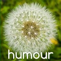 humour