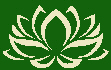 lotusblanc