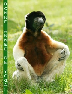 humour3