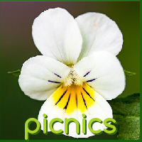picnics