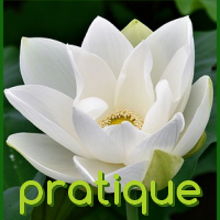 pratique